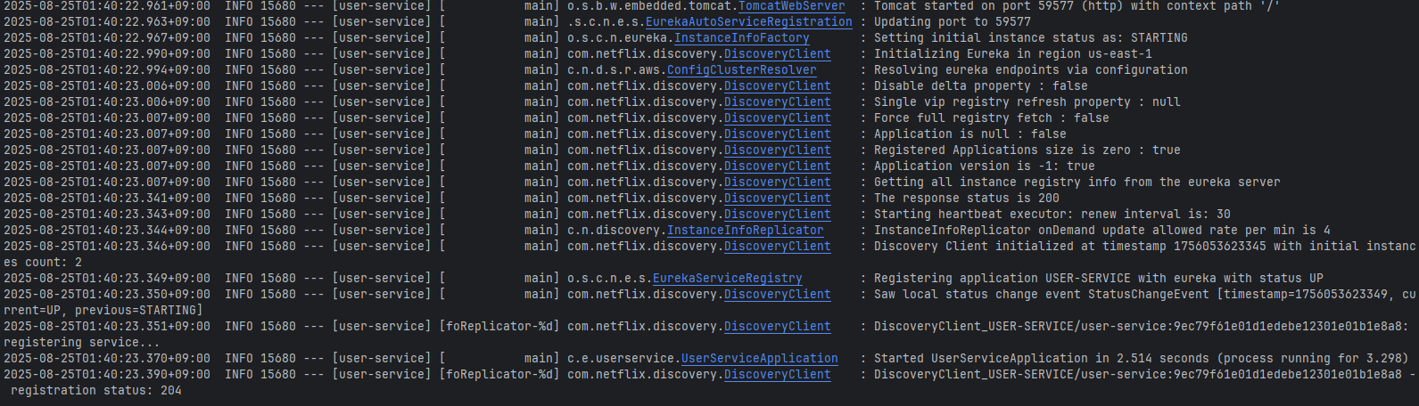 image-20250825014104981