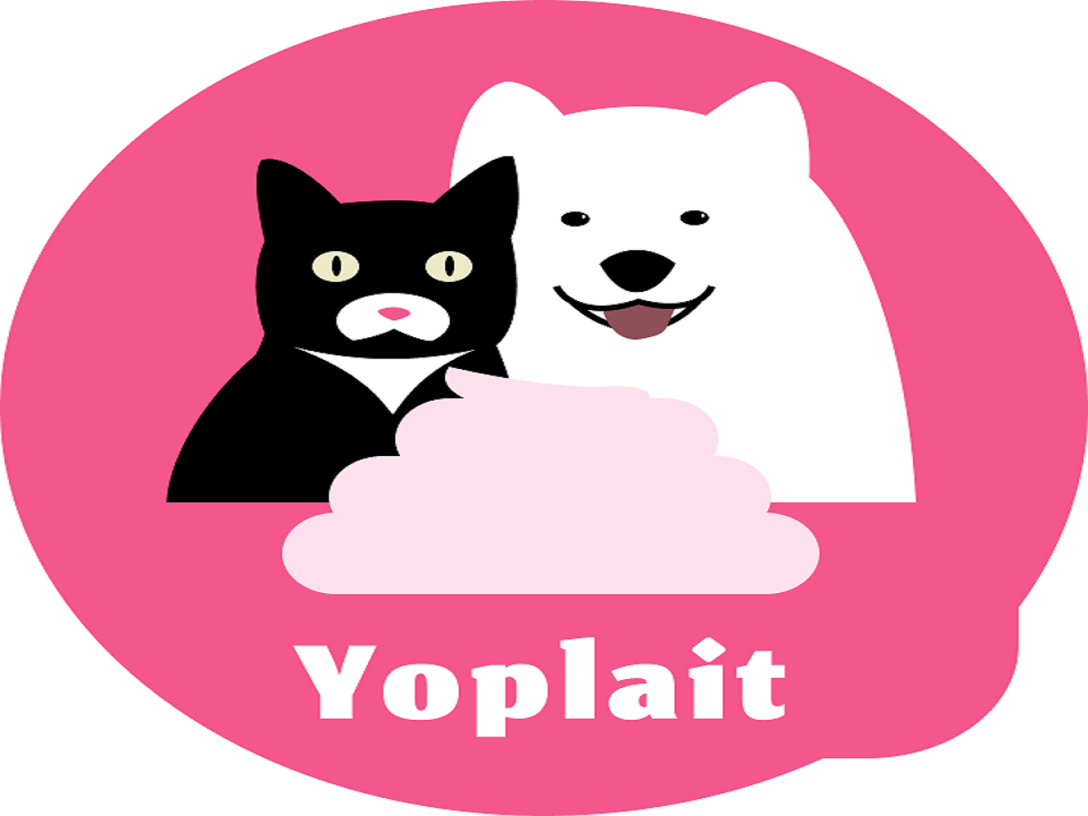 LG U+ 유레카 종합프로젝트 MSA 전환